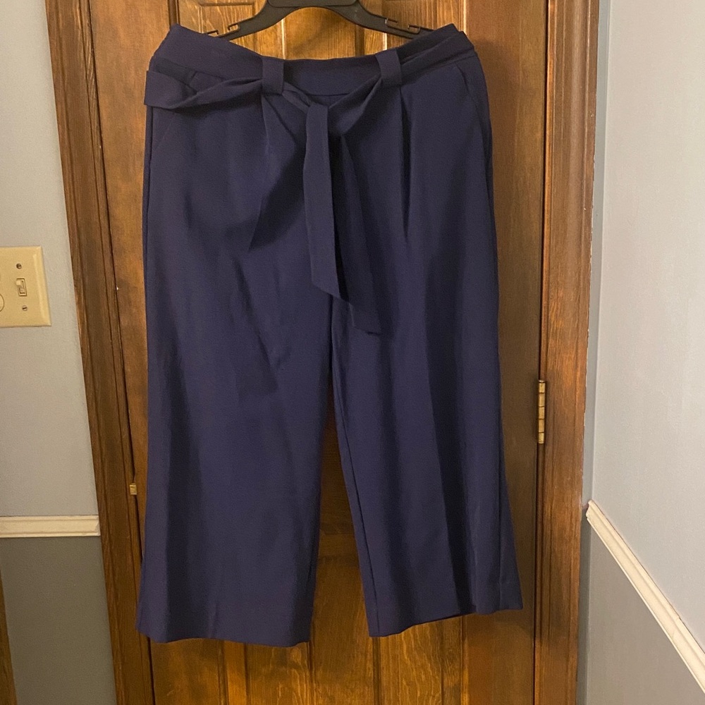 Massini Women's Cropped Wide Leg Pants in Navy Blue